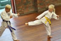 Armadale First Tae Kwon Do Martial Arts image 5